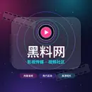 91网官方网站标志